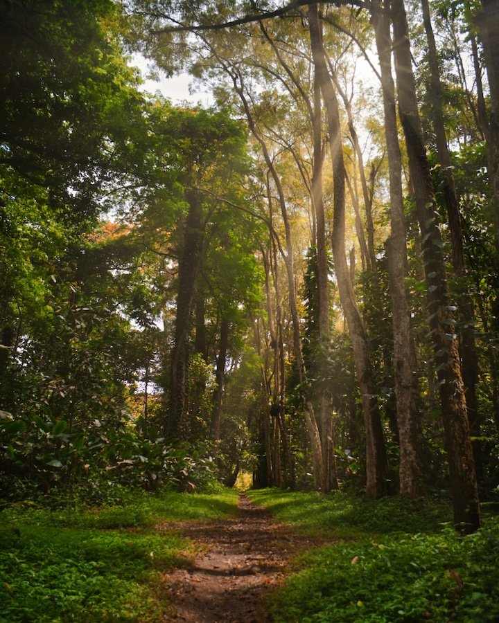 Corporate Social Responsibility That Truly Makes an Impact